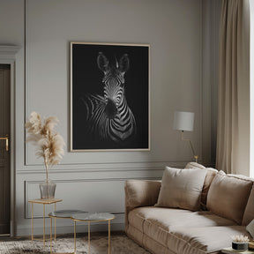 The Zebra Poster