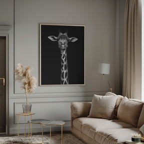 Giraffe Portrait Poster