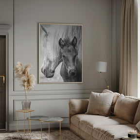 The Foal Poster