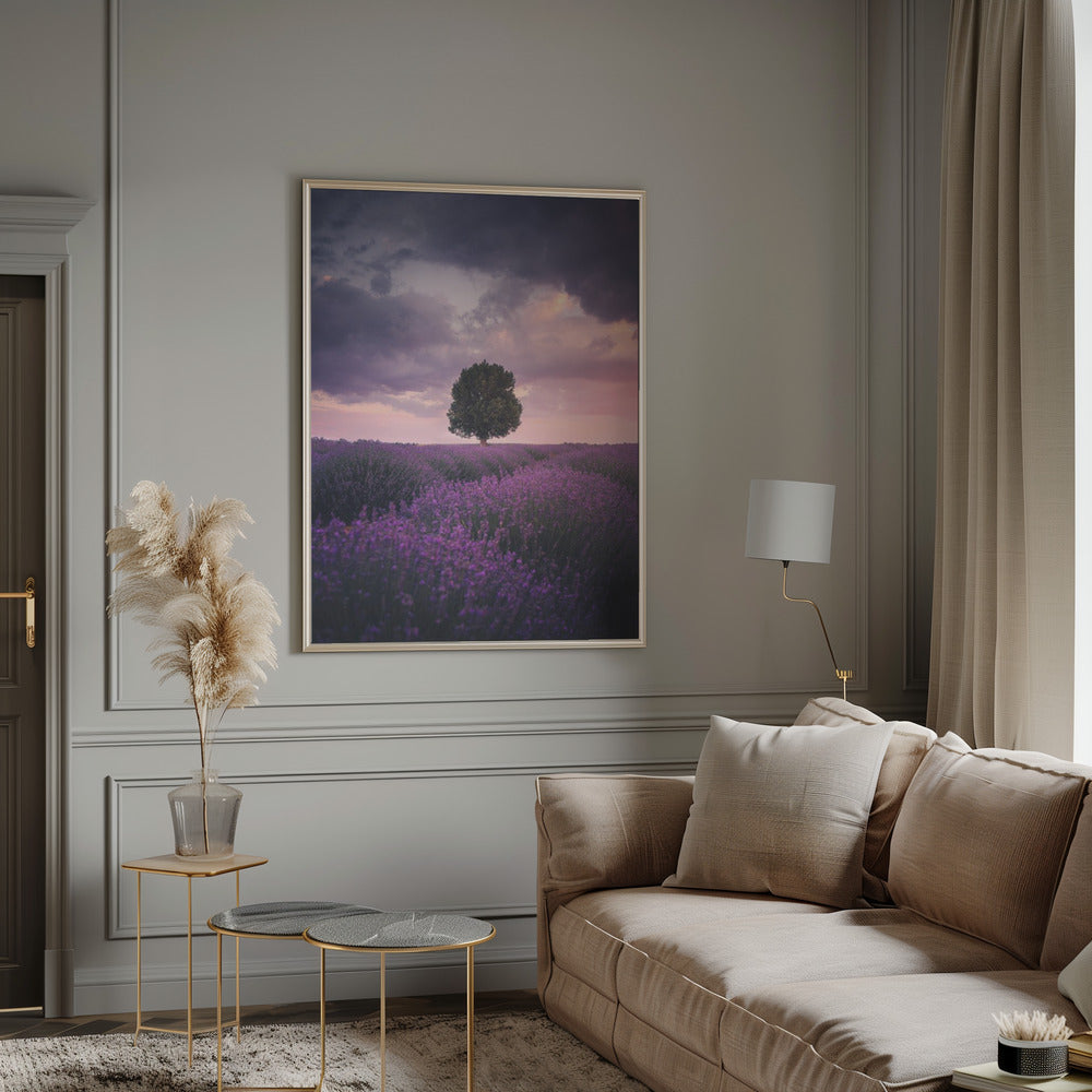 Lavender Fields, Isparta Poster