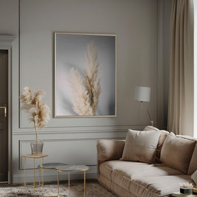 Pampas Grass Grey Poster