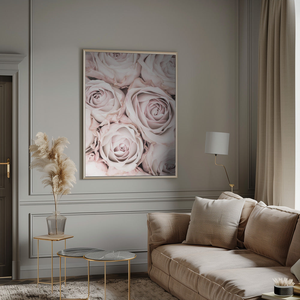 Pink Roses No 01 Poster