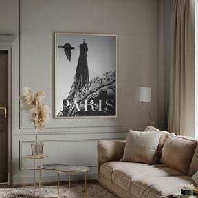 Paris Dove Poster