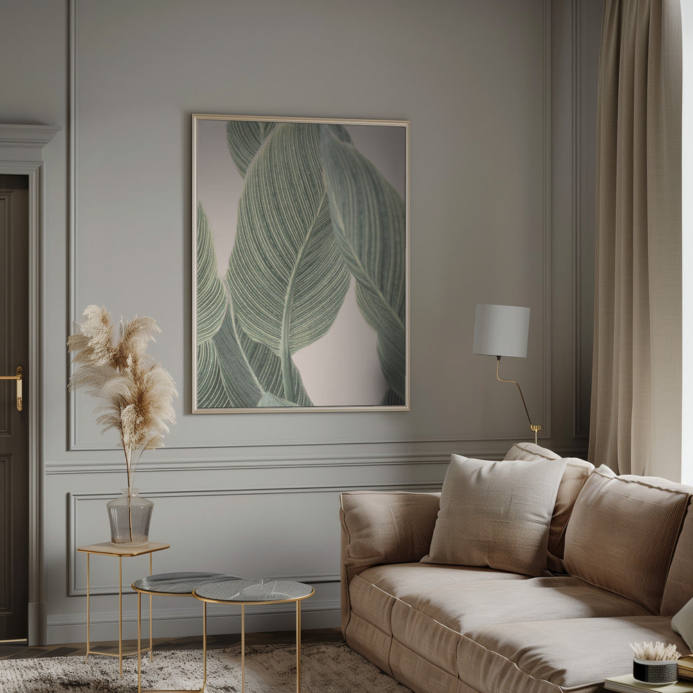 Calla Leaf Poster