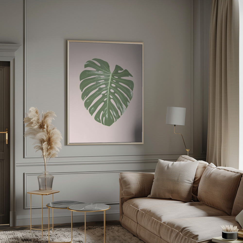 Monstera Leaf Blush Poster