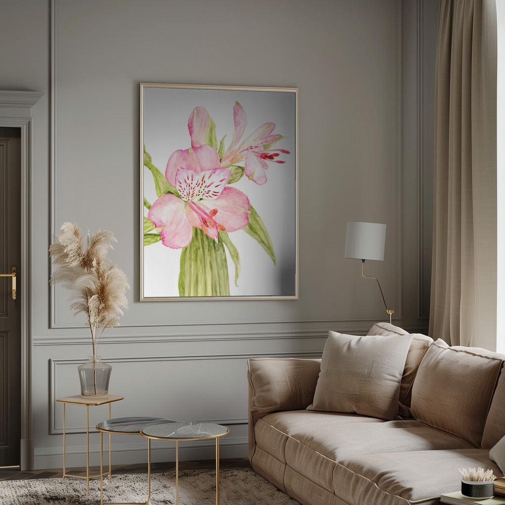 Pink watercolor alstroemeria Poster