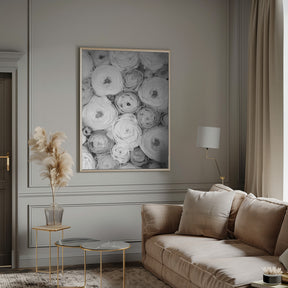 Scattered ranunculus grayscale I Poster