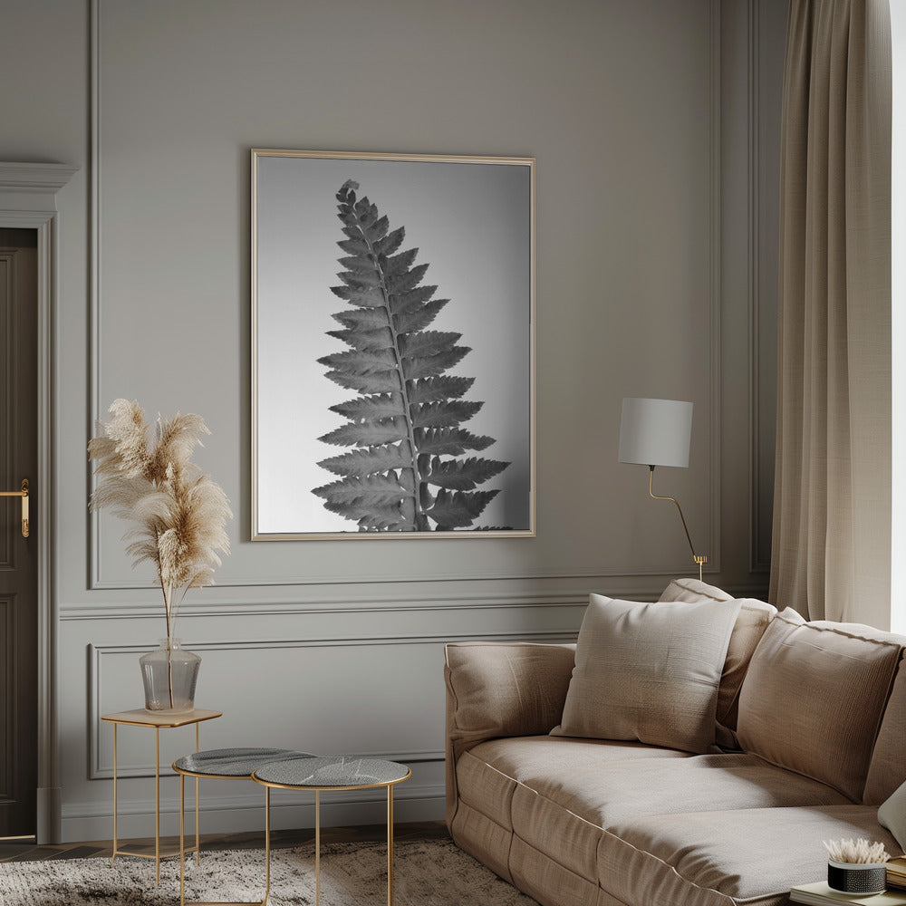 Gray fern leaf Poster