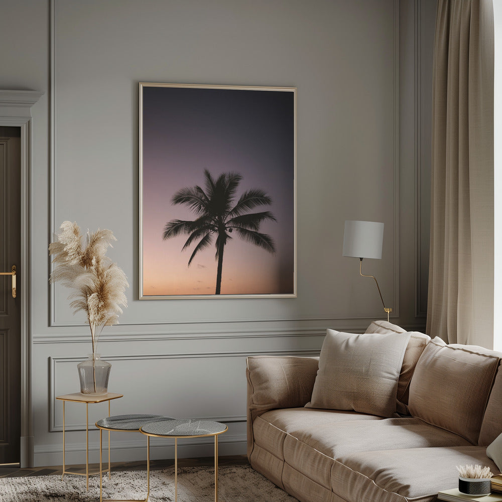 Costa Rica Palm Tree Poster