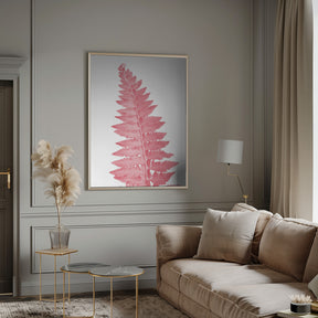 Pink fern leaf Poster