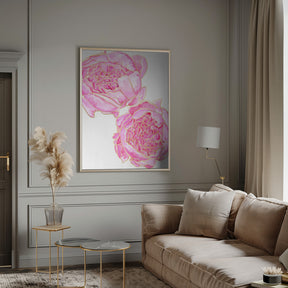 Sally's peonies Poster