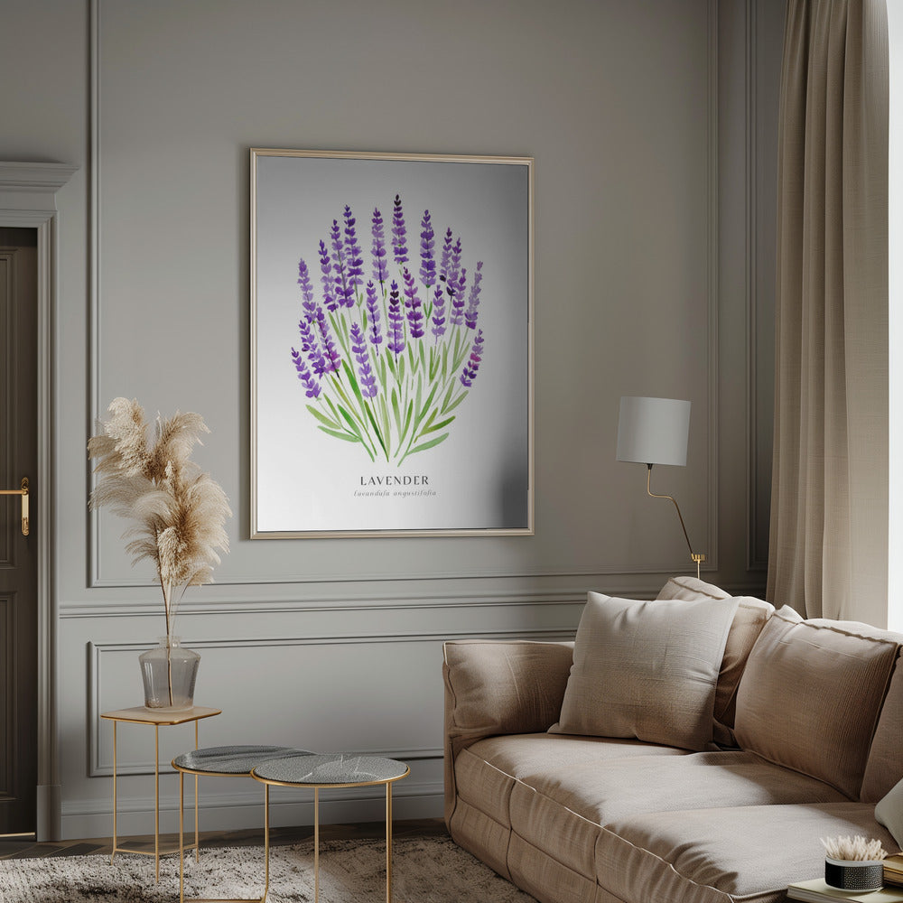 Lavender I Poster