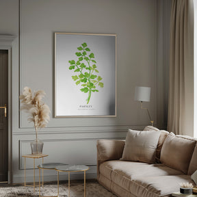 Parsley I Poster