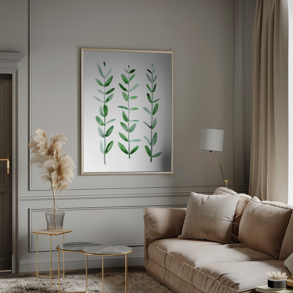 Watercolor eucalyptus parvifolia Poster