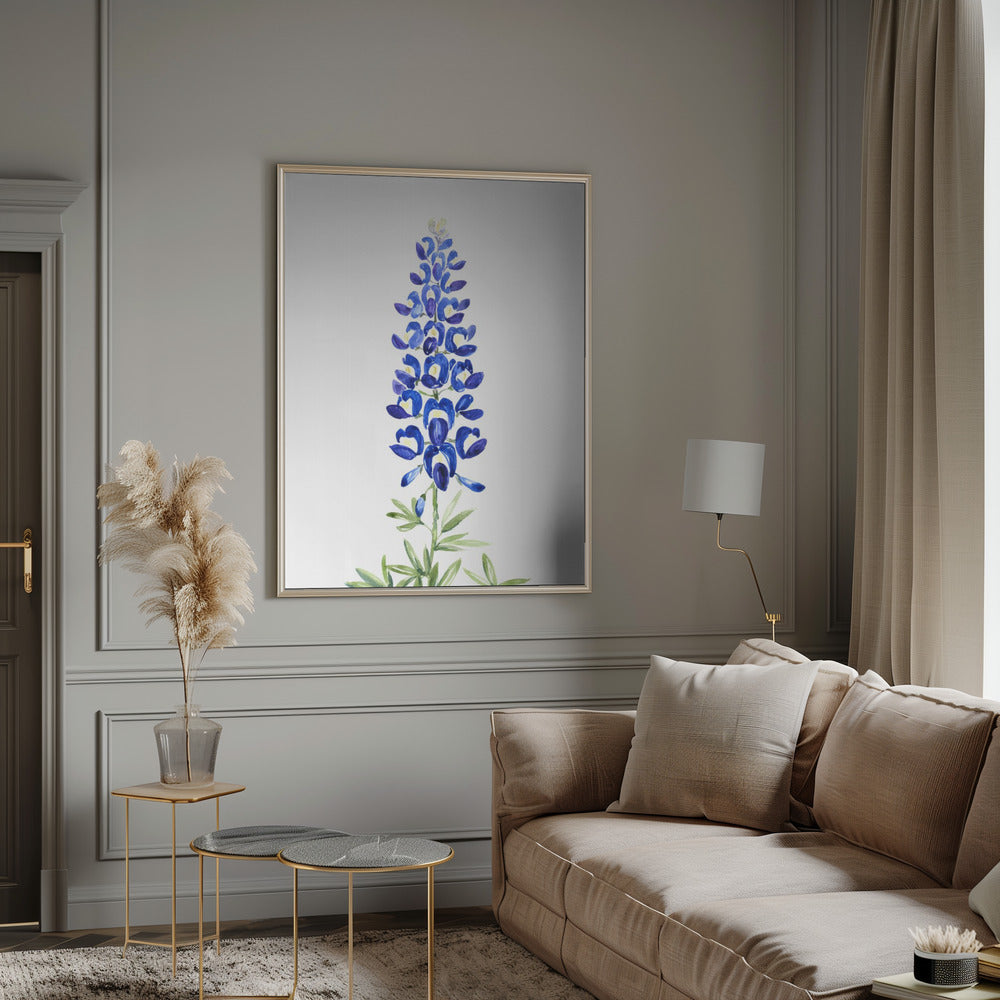 Watercolor Texas bluebonnet Poster