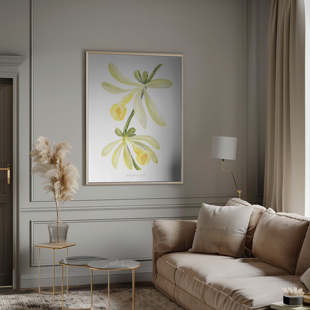 Watercolor vanilla orchid Poster