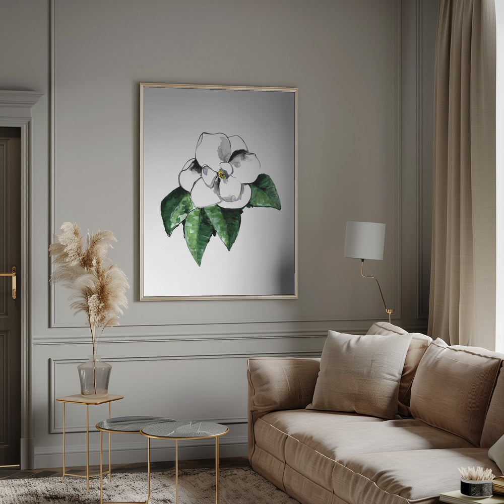 White magnolia Poster