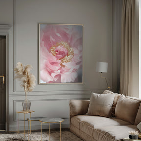 Blush peony I Poster