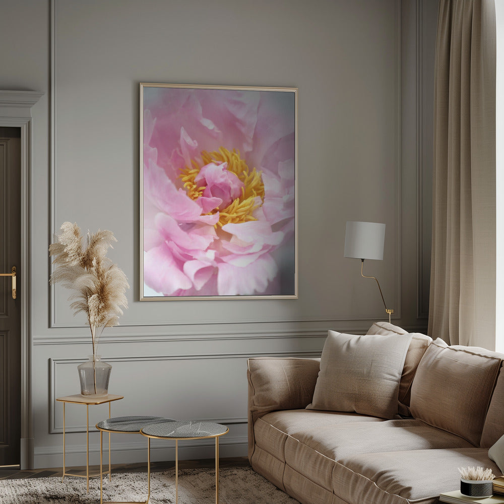 Pink peony I Poster