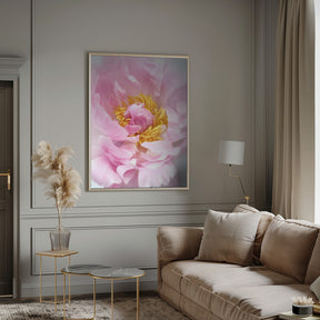 Pink peony I Poster