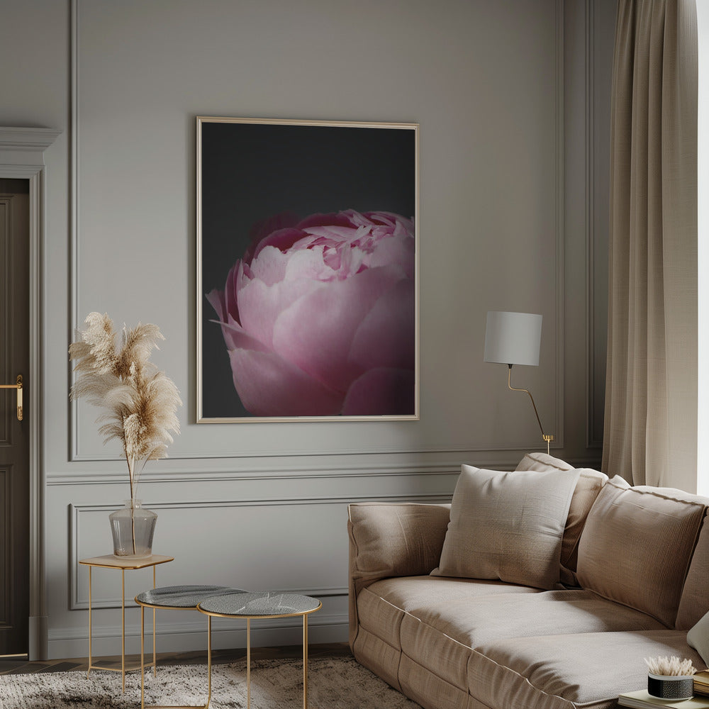 Moody pink peony II Poster