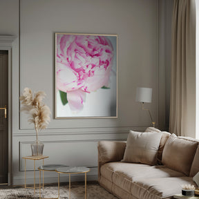 Pink peony VII Poster