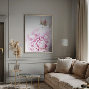 Subdued peony IX Poster