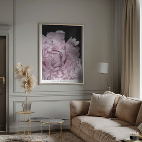 Enjoy the little things peony Poster