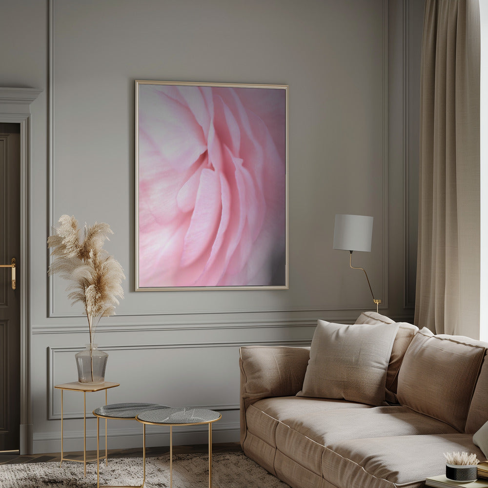 Soft pink petals Poster