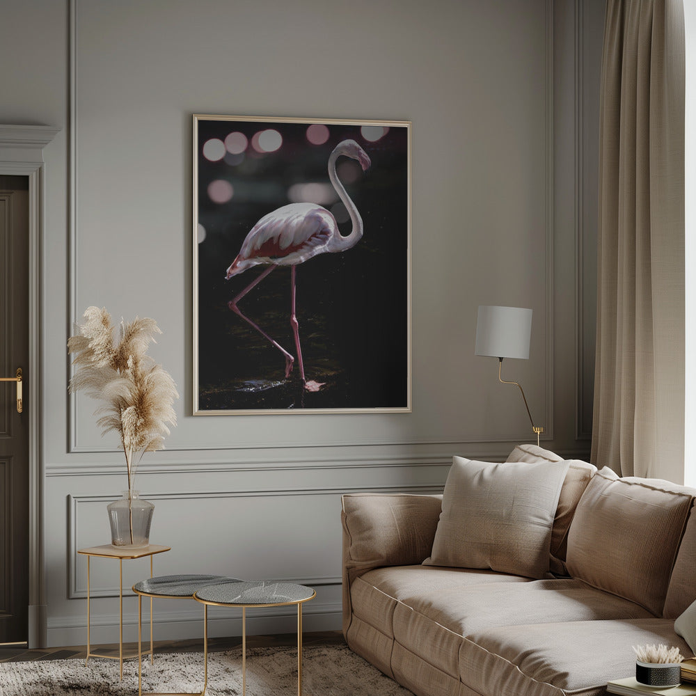 Dancing Flamingo Poster