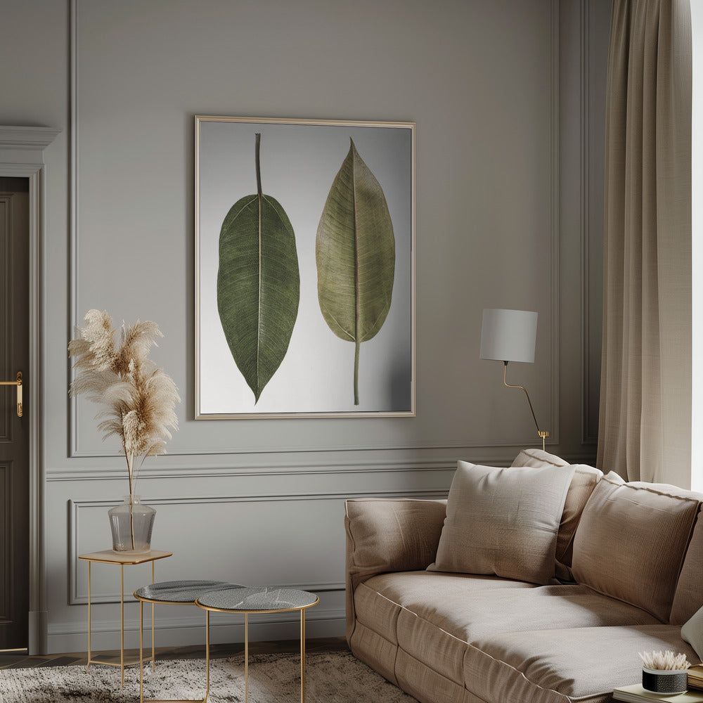 Leaf Study 05 Poster