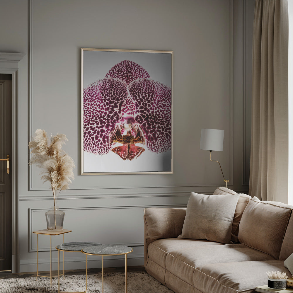 Leopard Orchid Poster