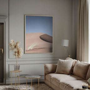 Namib Two Poster