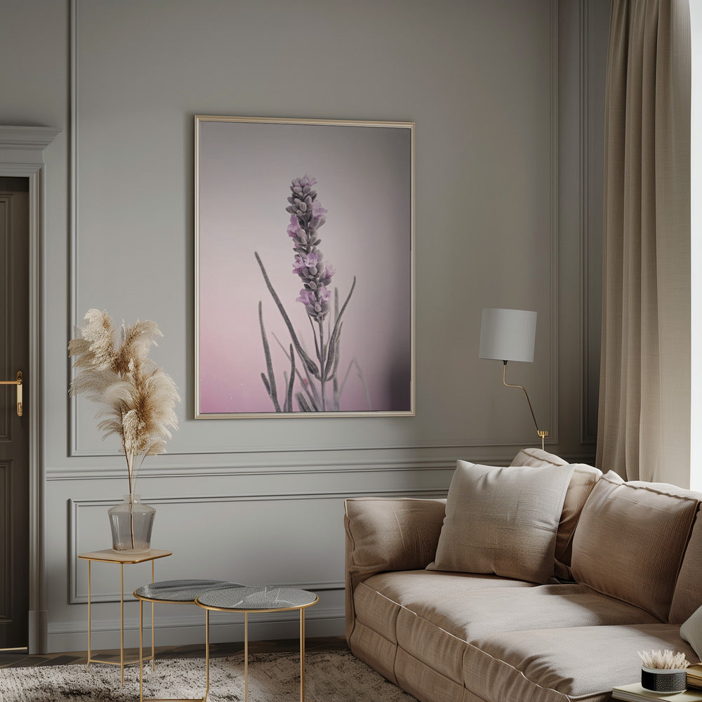 Pastel Lavender Poster