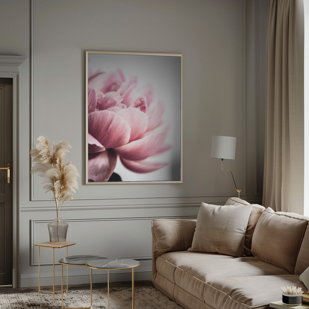 Peony 1 Poster