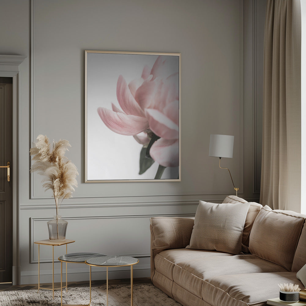 Peony 2 Poster