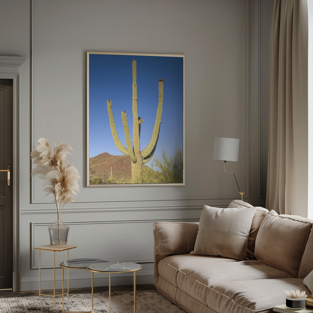 SAGUARO NATIONAL PARK Giant Saguaro Poster