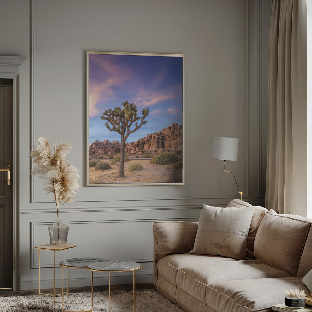 Joshua Tree Evening Atmosphere Poster