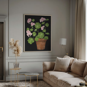 Pink Geranium Poster