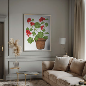 Red Geranium Poster