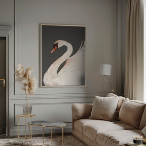 The Swan Poster