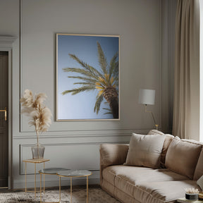 Vejer de La Frontera Palm Tree Poster