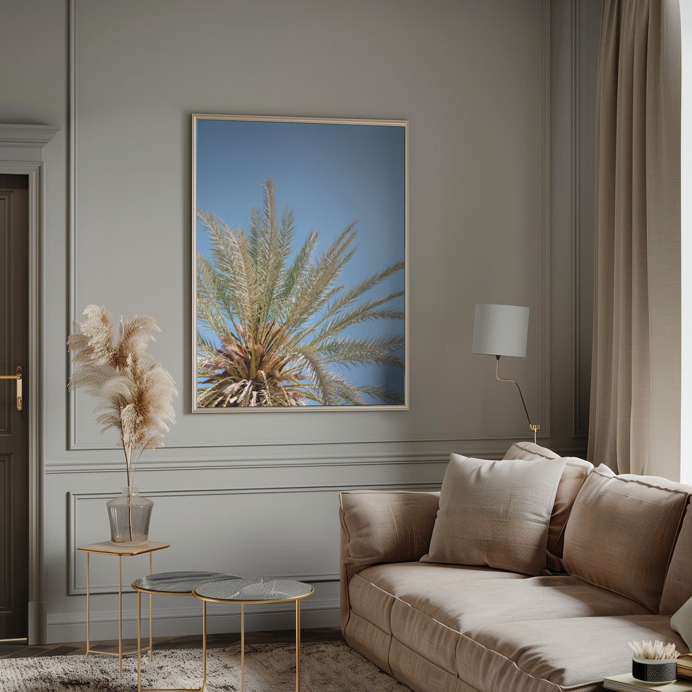 Moroccan Coast Palm Tree Poster