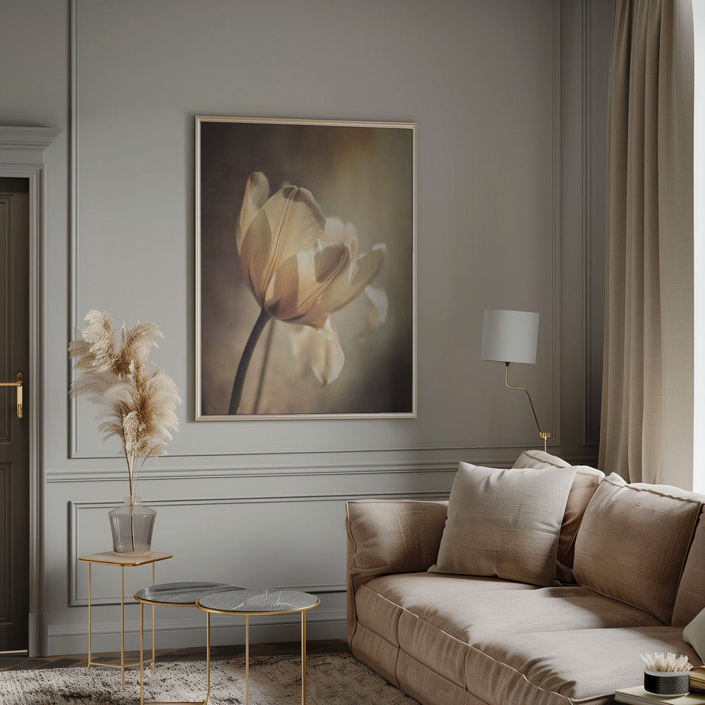 Pastel Tulip Poster