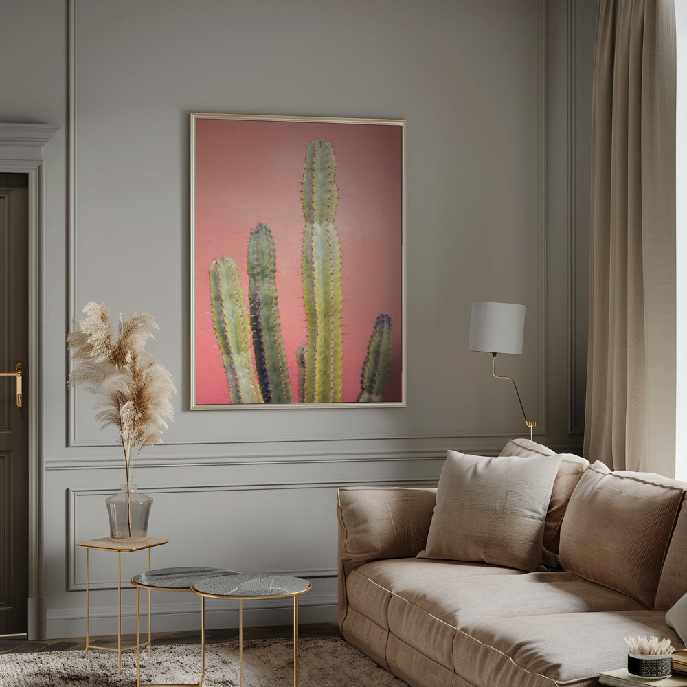 Pretty Pink Cactus Marrakech Poster