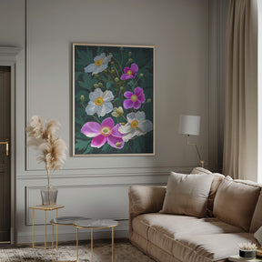 Anemone Flowers Poster