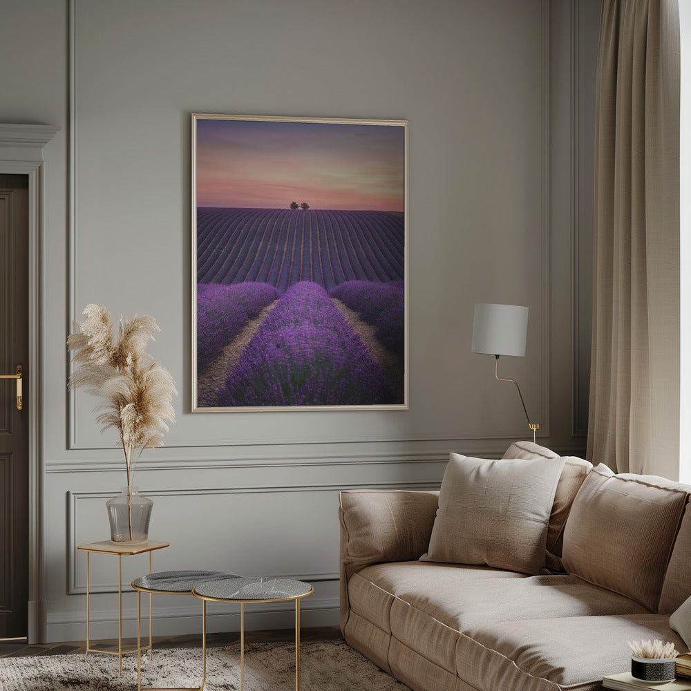 Lavender fild Poster