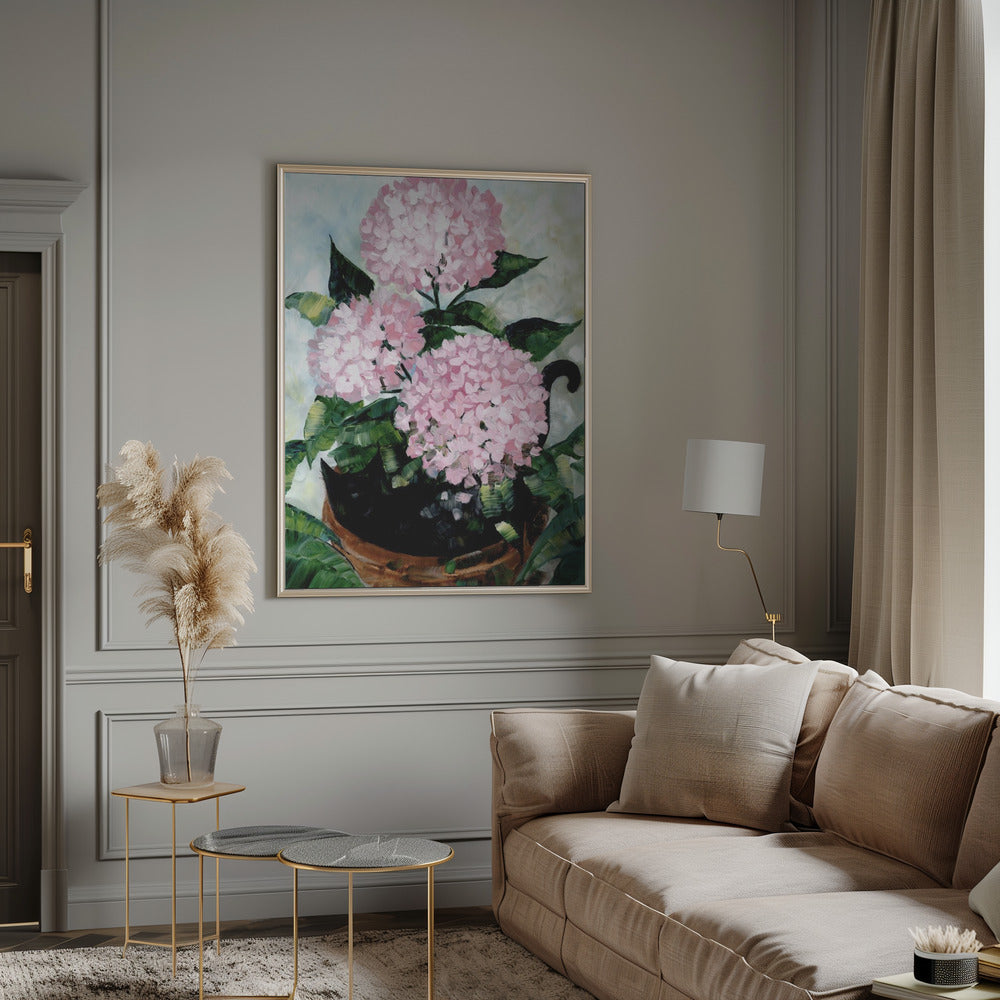 Potted pink hydrangeas Poster