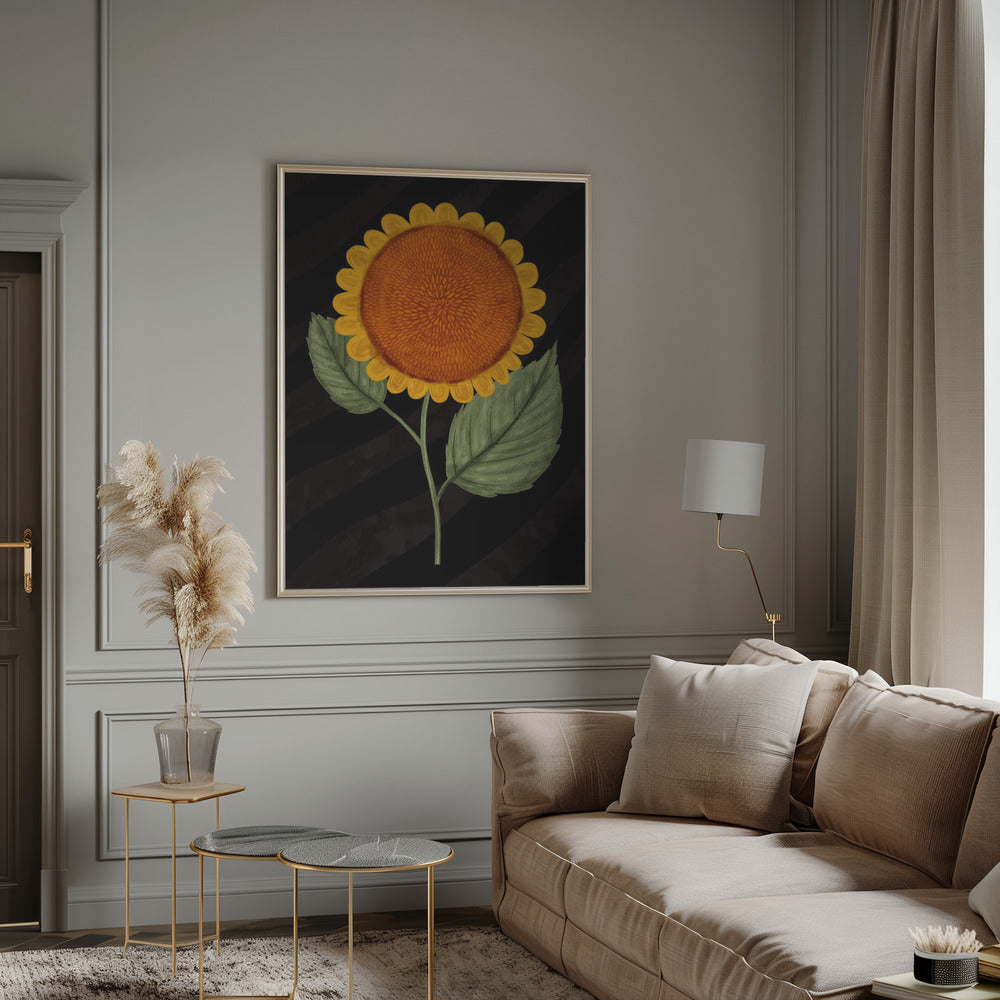 Sunflower Poster