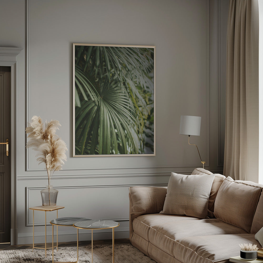 Areca Palm Poster